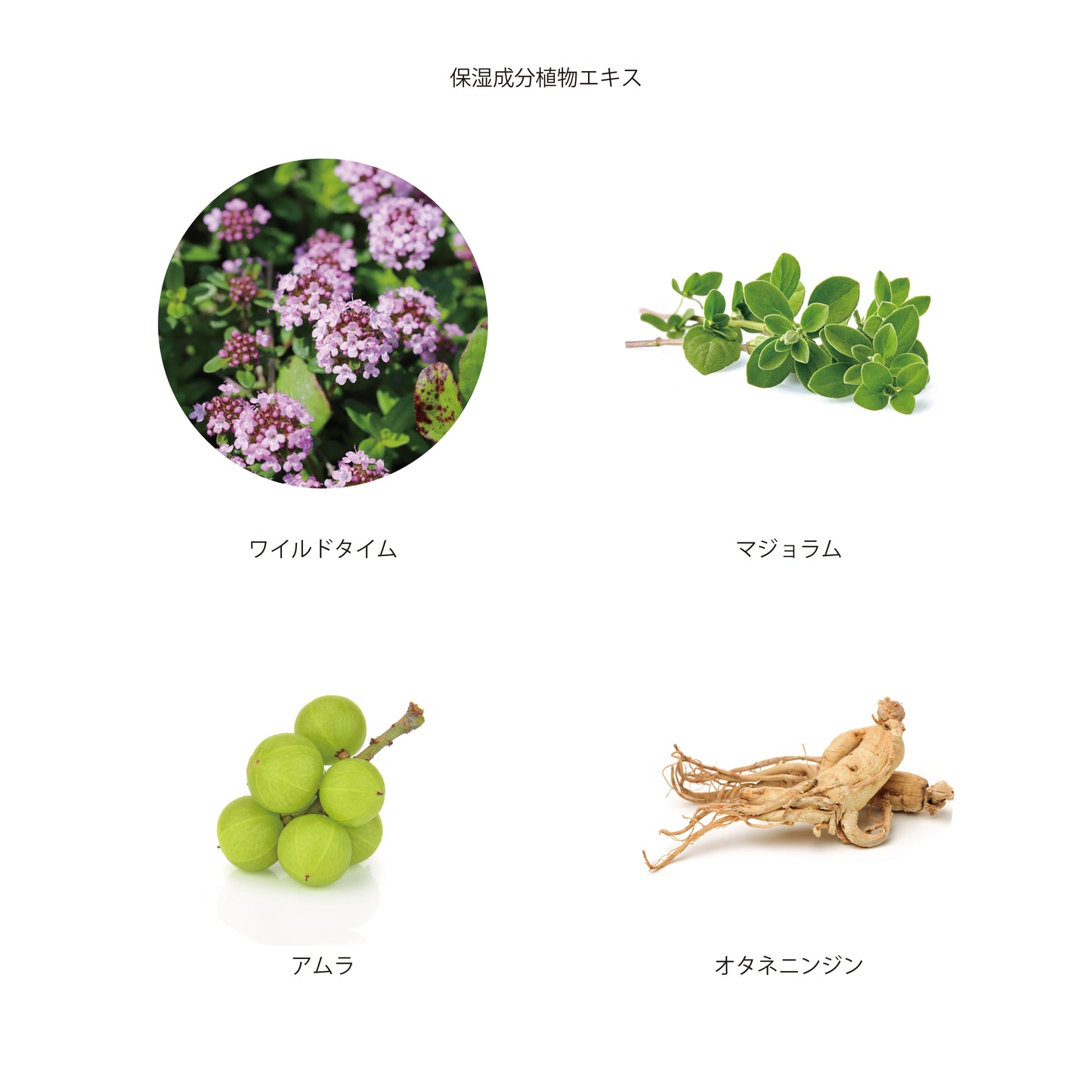 【AMIDA】ディヴァインローズローション化粧水 120ml