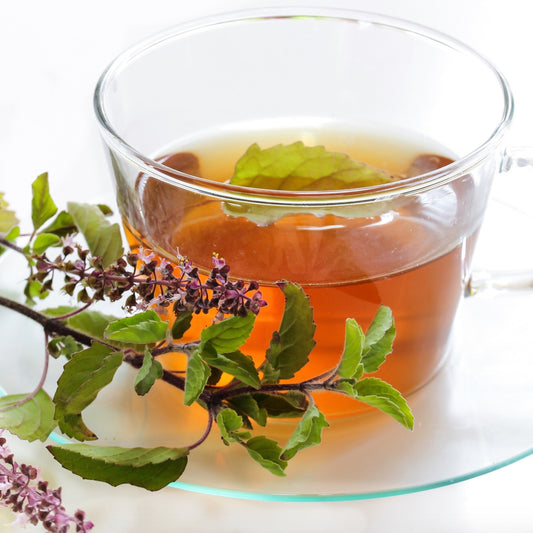 【AMIDA】トゥルシーティー 21包