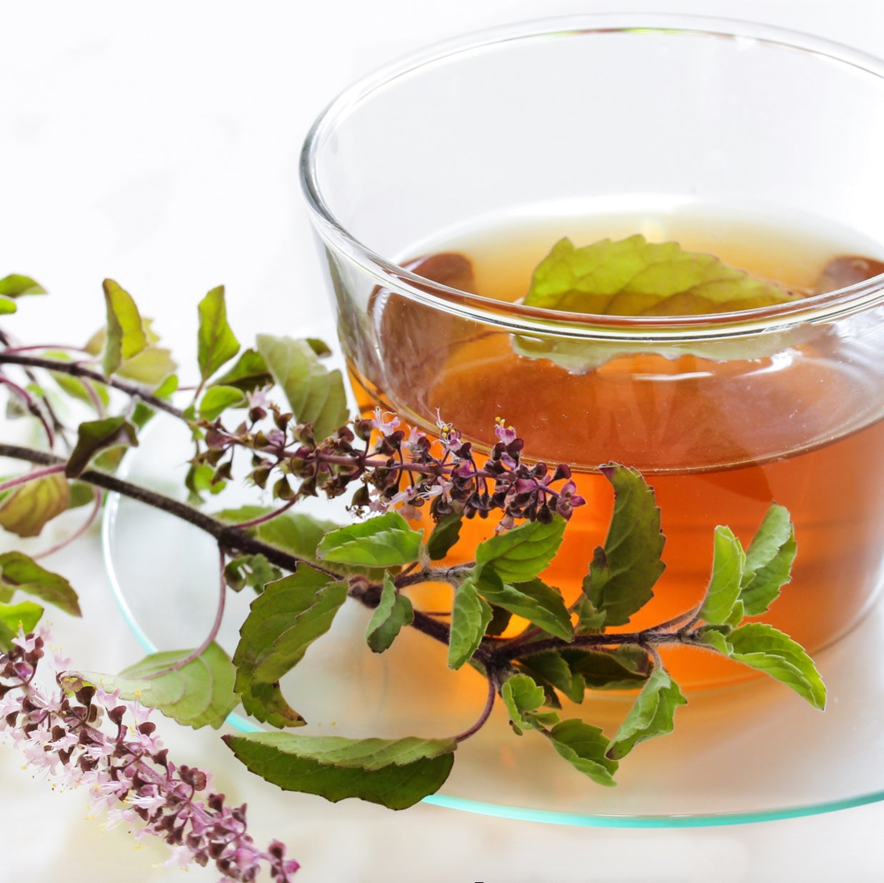 【AMIDA】AMIDA Great Fire Gift~ 60年に1度の丙午 ~